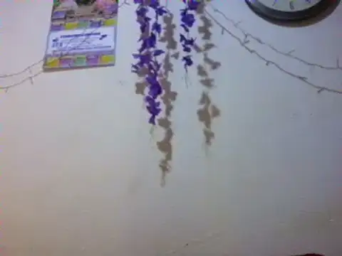 xxsexycutexxx online show from 03/03/25, 02:04