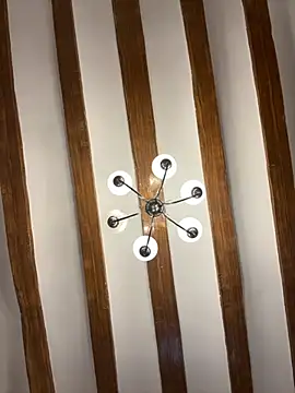 laarti online show from 11/19/25, 10:59