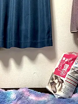 Snapshot of PINO_pino_01 chatting on 11/24/25, 05:45 PINO pino 01 online show from 11/24/25, 05:45