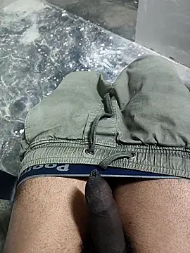 omni 333 online show from 01/19/26, 04:33