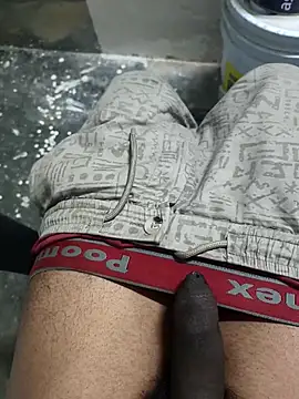 omni 333 online show from 02/04/26, 01:17