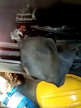 dominationmybigdick online show from 10/07/25, 10:56