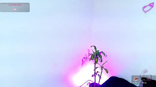 7 Saturno 7 online show from 03/20/26, 03:39