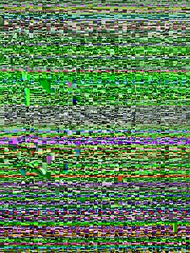Snapshot of Walker_Thomas1 chatting on 07/10/26, 10:34 Walker Thomas1 online show from 07/10/26, 10:34