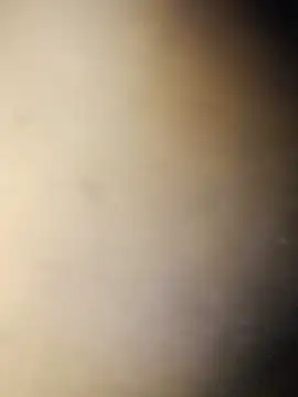 Snapshot of Crowlers chatting on 03/16/25, 12:01 Crowlers online show from 03/16/25, 12:01