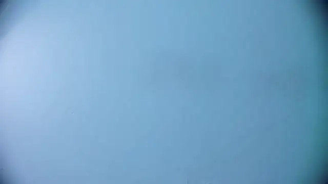 Ashlyaurora online show from 03/19/25, 07:40