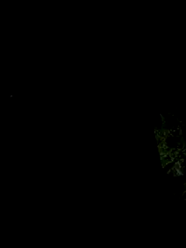 hintly online show from 10/29/25, 11:12