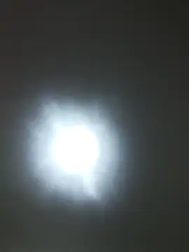 SARAI 523 online show from 10/14/25, 07:25