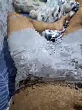 Sexhamza32 online show from 06/29/26, 08:31
