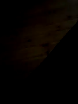 Arabian online show from 02/11/25, 09:46