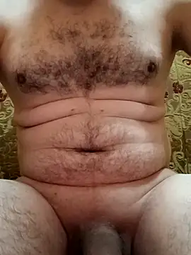 Arabian online show from 11/28/25, 11:02