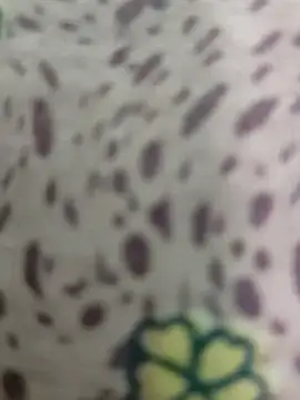 Snapshot of Yashkumar_0697 chatting on 03/10/25, 07:07 Yashkumar 0697 online show from 03/10/25, 07:07