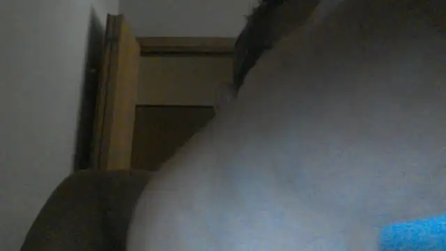 eccomi6996 online show from 06/25/26, 08:52