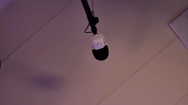 lissa palmer online show from 02/20/26, 03:03