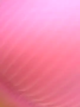 Dulce  Boyd online show from 11/11/25, 01:44