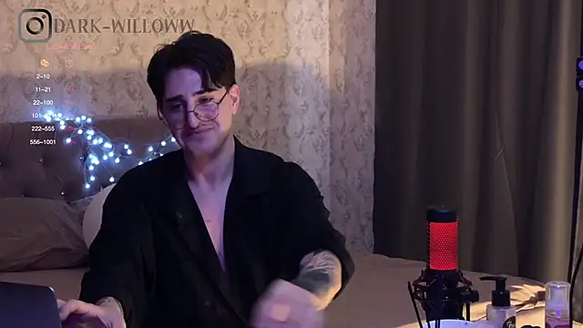 Snapshot of dark-willoww chatting on 02/24/25, 11:32 dark-willoww online show from 02/24/25, 11:32