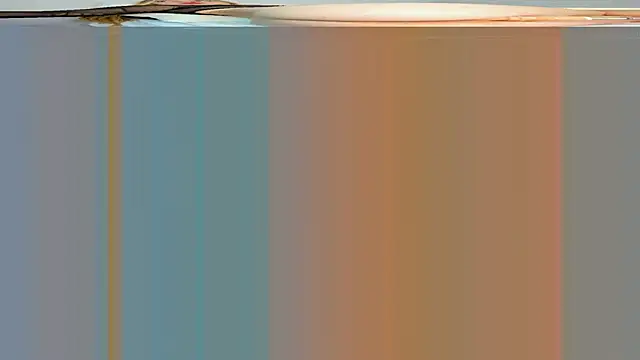 rouss witt online show from 03/07/25, 08:22