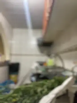 Snapshot of Carola-Ross chatting on 03/24/26, 05:40 Carola-Ross online show from 03/24/26, 05:40