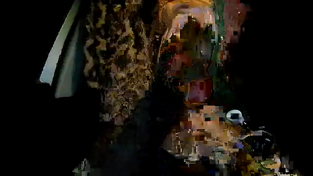 ShysluutGia online show from 01/11/26, 02:27