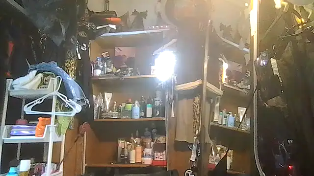 ShysluutGia online show from 01/31/26, 10:08