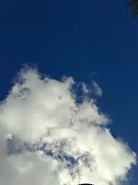 Emily homegirl online show from 03/22/25, 06:33