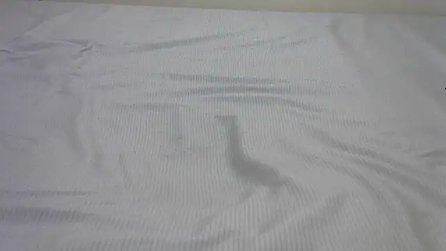 Snapshot of SweetTeaseX chatting on 02/13/25, 04:50 SweetTeaseX online show from 02/13/25, 04:50