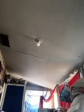 birdg online show from 09/14/25, 06:18