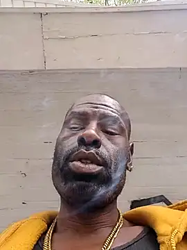 birdg online show from 09/23/25, 04:54