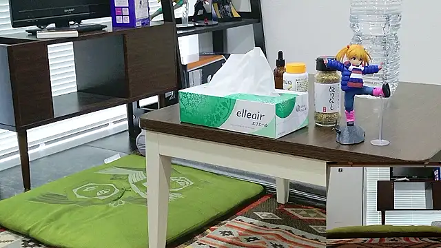 Snapshot of YARASERO-kun chatting on 02/17/26, 03:25 YARASERO-kun online show from 02/17/26, 03:25