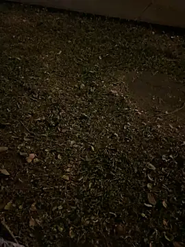 briyi1 online show from 07/05/26, 01:56