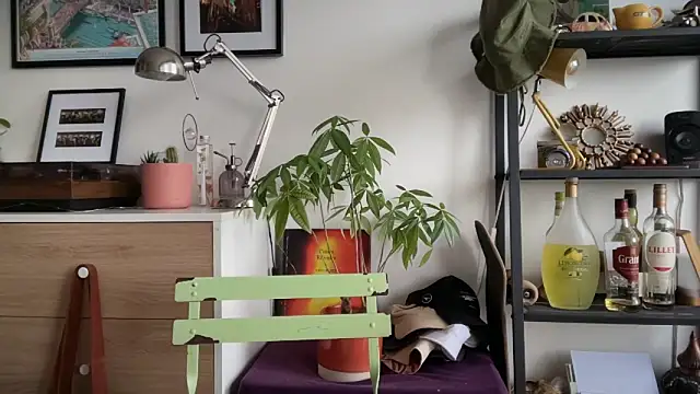 Snapshot of MikymikeBBWD chatting on 11/22/25, 01:54 MikymikeBBWD online show from 11/22/25, 01:54