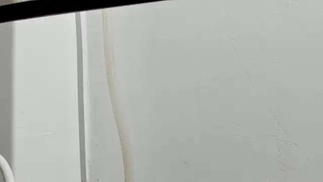 Aleshkastone online show from 01/11/26, 03:39