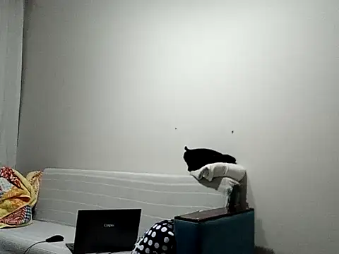 BellBort online show from 03/03/26, 07:42