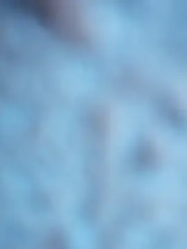 maialani online show from 10/06/25, 09:07