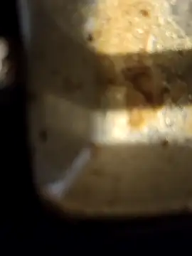 Loly2025 online show from 02/20/25, 02:35