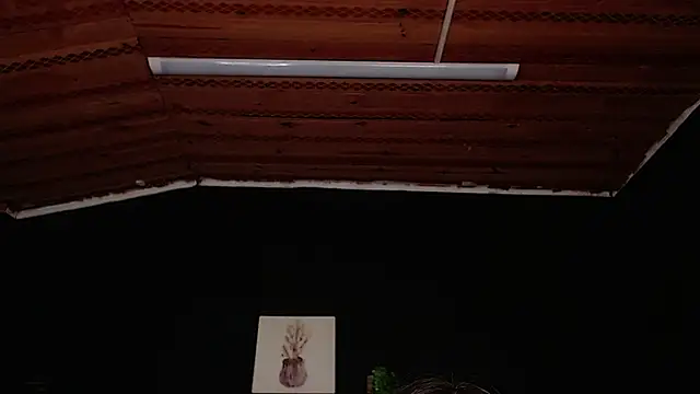 Snapshot of fyreandfox_ chatting on 11/18/25, 06:56 fyreandfox online show from 11/18/25, 06:56