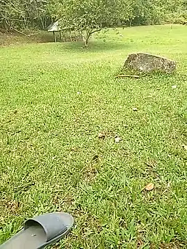 Snapshot of Mycansonhot chatting on 10/23/25, 04:50 Mycansonhot online show from 10/23/25, 04:50