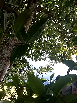 Snapshot of Mycansonhot chatting on 04/11/26, 07:18 Mycansonhot online show from 04/11/26, 07:18