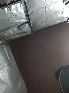 HTXBELLE online show from 12/05/25, 02:42