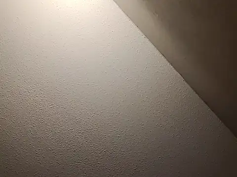 Snapshot of taterae chatting on 11/23/25, 12:05 taterae online show from 11/23/25, 12:05