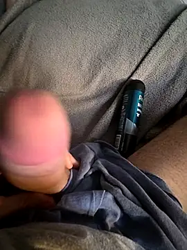 Toradinho online show from 11/17/25, 03:40