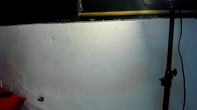 couple hotfox online show from 12/22/25, 01:02