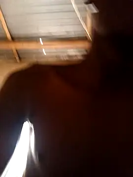 Snapshot of lilpip chatting on 02/15/26, 09:08 lilpip online show from 02/15/26, 09:08