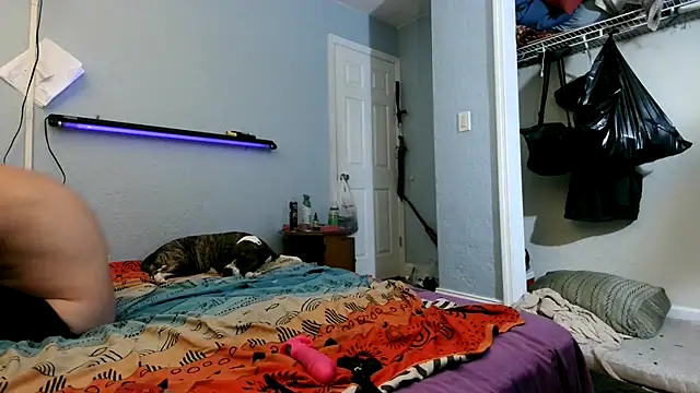 PornStro921 online show from 03/14/25, 11:32