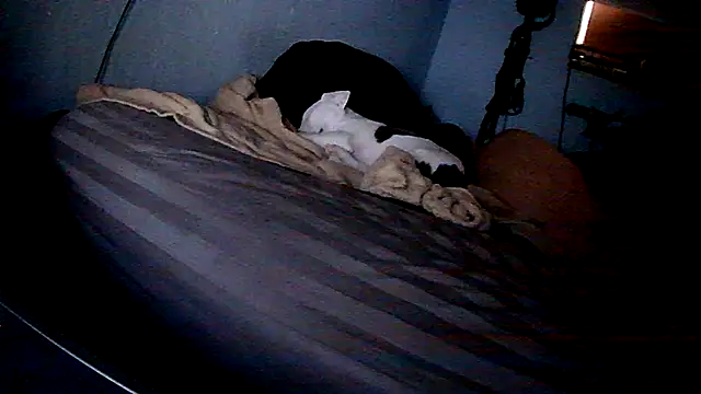 PornStro921 online show from 02/11/26, 08:25