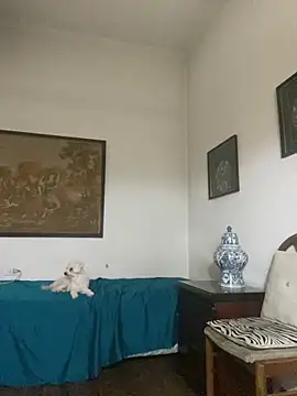 KititA12 online show from 02/22/26, 05:08