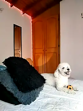 morenosiam online show from 11/23/25, 09:36