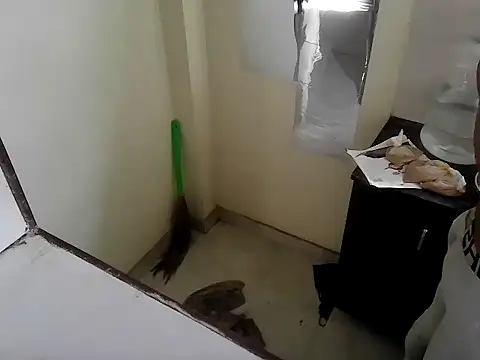 fitbuddy1 online show from 09/11/25, 09:42