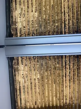 Snapshot of Madisson-Rivas chatting on 10/14/25, 07:14 Madisson-Rivas online show from 10/14/25, 07:14