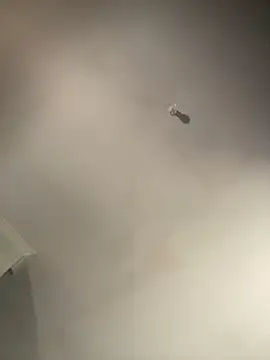 1Zoey101 online show from 02/02/26, 01:37